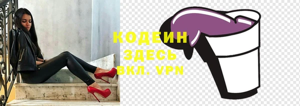 индика Аркадак