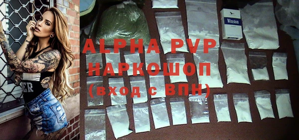 индика Аркадак