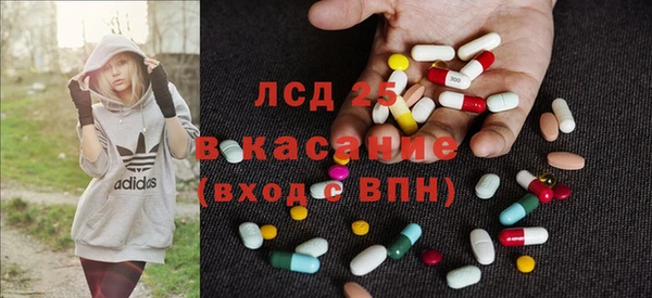 индика Аркадак