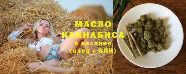индика Аркадак
