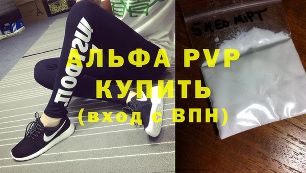 индика Аркадак