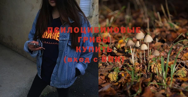 мет Армянск