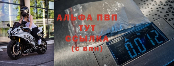 индика Аркадак