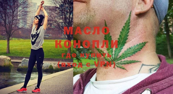 индика Аркадак