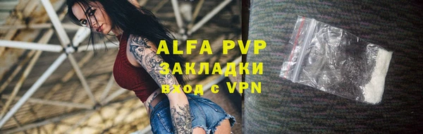 индика Аркадак