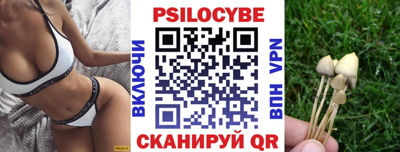 продажа наркотиков  Новоалтайск  Галлюциногенные грибы ЛСД 